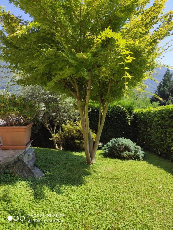 Casa Vacanza Il Glicine Casale Corte Cerro Kültér fotó